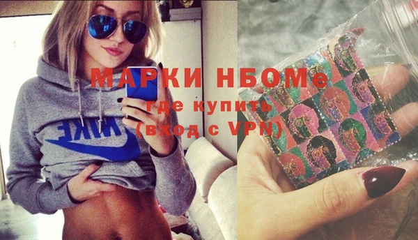 индика Нязепетровск