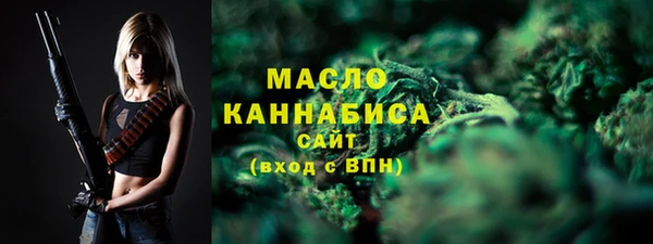 метадон Няндома