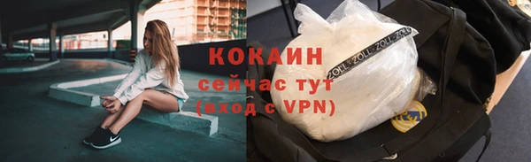 индика Нязепетровск