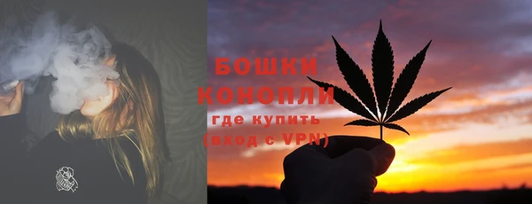 метадон Няндома