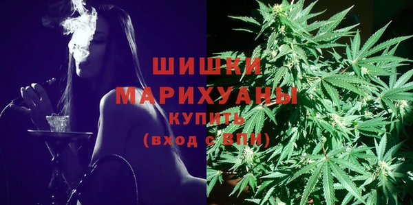 индика Нязепетровск