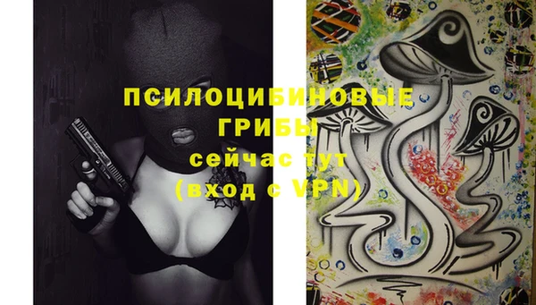метадон Няндома