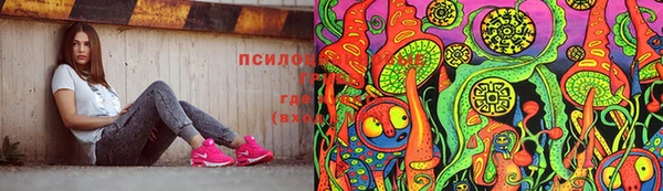 индика Нязепетровск