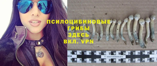 метадон Няндома