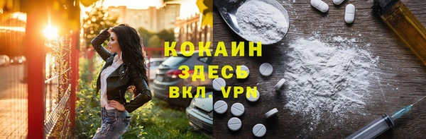 индика Нязепетровск