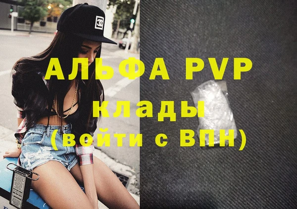 индика Нязепетровск