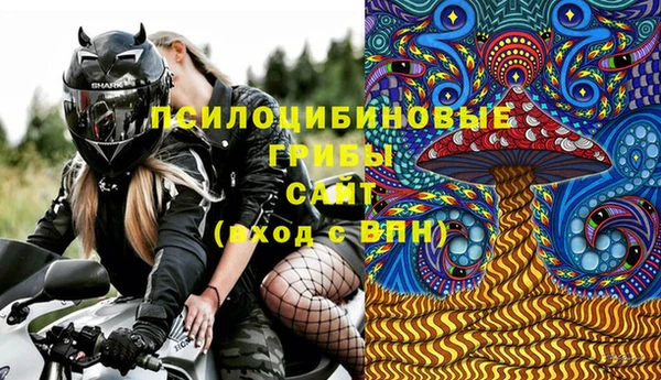 метадон Няндома