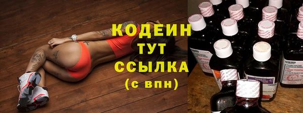 индика Нязепетровск