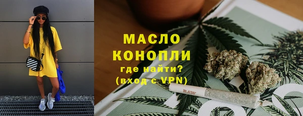 индика Нязепетровск