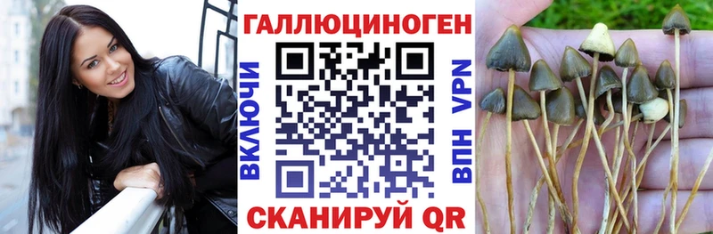 Псилоцибиновые грибы MAGIC MUSHROOMS  Купить  Шахунья 