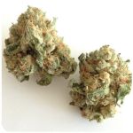 Шишки "White Widow"  (Белая вдова)  Гидропоника -  Бошка VHQ в Шахунье