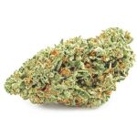 Шишки OG Kush  (Гидропоника, бошки) VHQ в Шахунье
